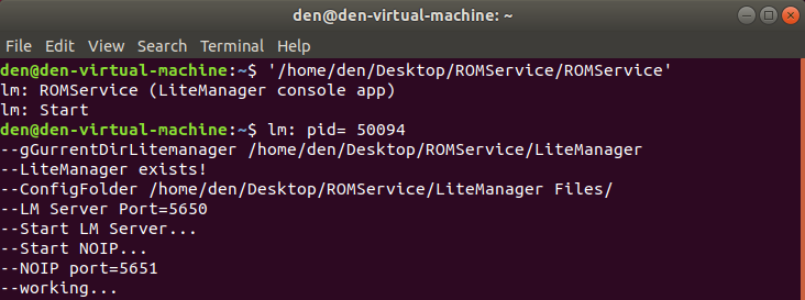 Terminal starts the daemon 